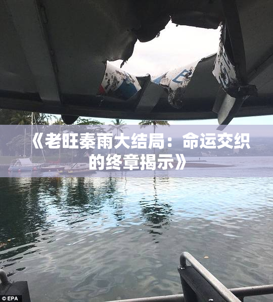 《老旺秦雨大结局：命运交织的终章揭示》