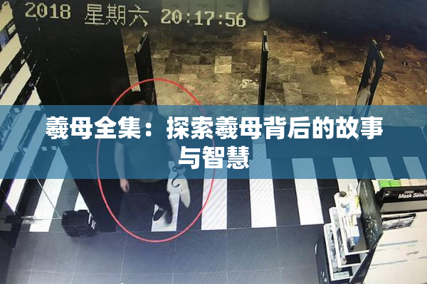 羲母全集：探索羲母背后的故事与智慧
