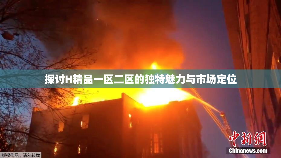 探讨H精品一区二区的独特魅力与市场定位