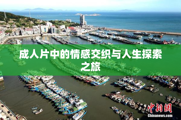 成人片中的情感交织与人生探索之旅