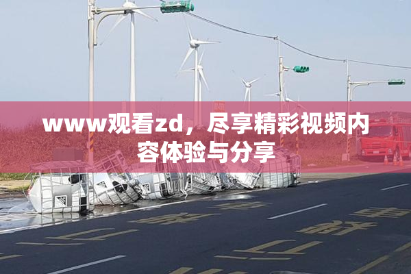 www观看zd，尽享精彩视频内容体验与分享