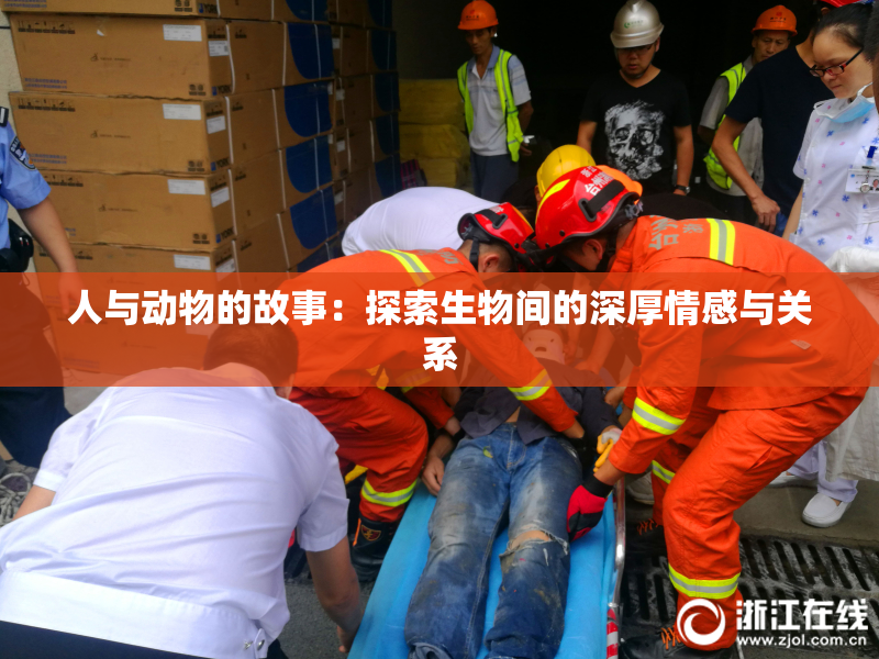 人与动物的故事：探索生物间的深厚情感与关系
