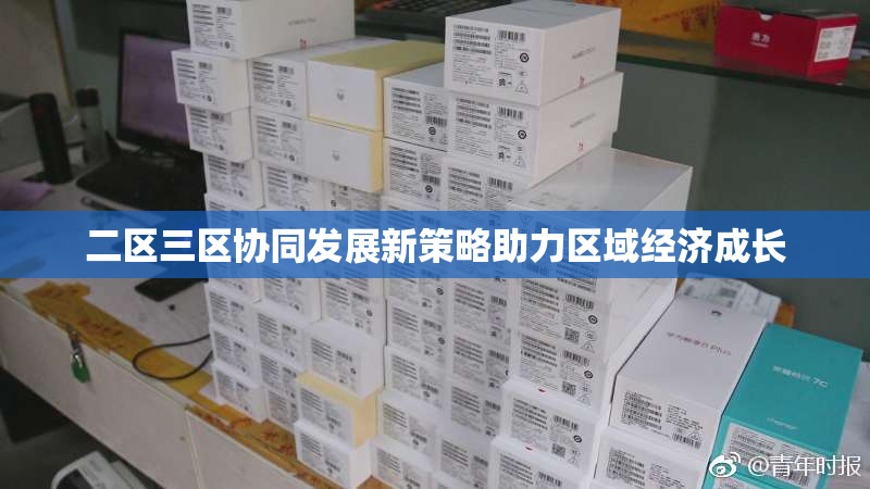 二区三区协同发展新策略助力区域经济成长