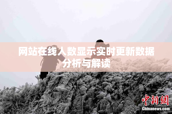 网站在线人数显示实时更新数据分析与解读