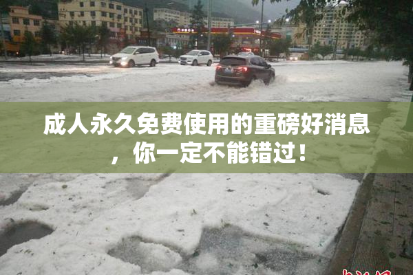 成人永久免费使用的重磅好消息，你一定不能错过！