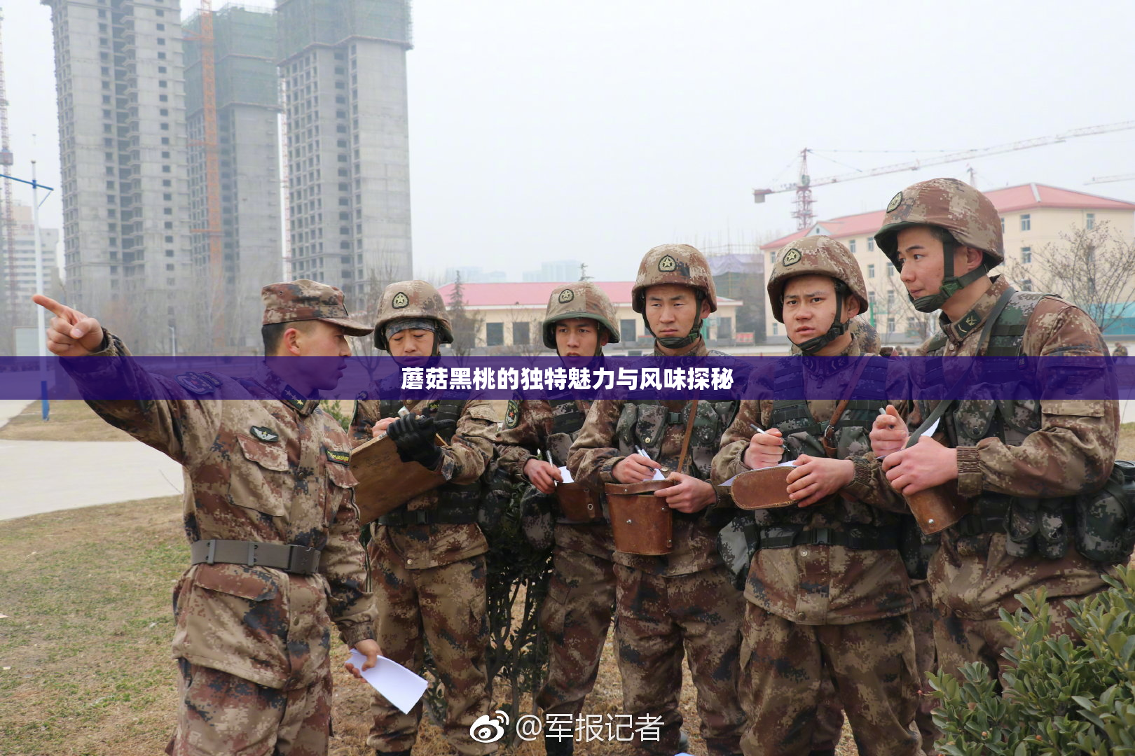 蘑菇黑桃的独特魅力与风味探秘