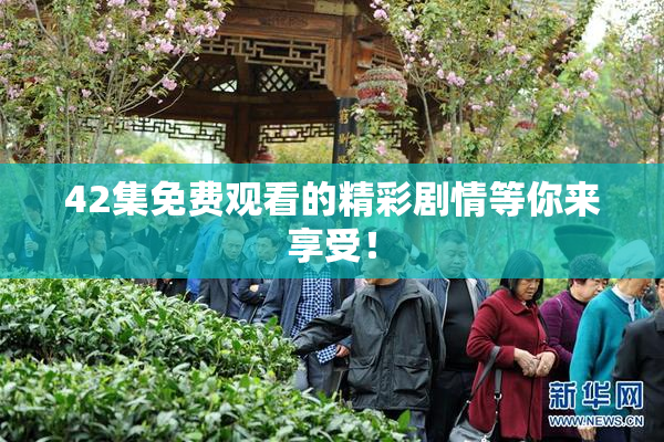 42集免费观看的精彩剧情等你来享受！