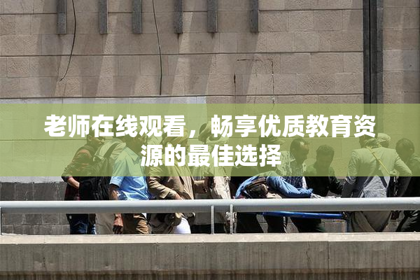 老师在线观看，畅享优质教育资源的最佳选择