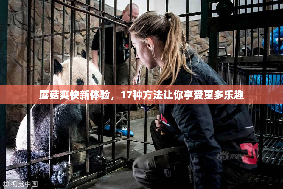 蘑菇爽快新体验，17种方法让你享受更多乐趣
