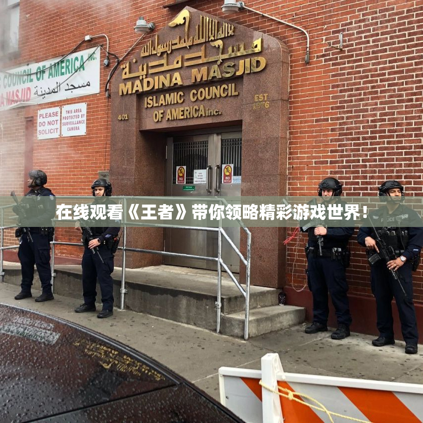 在线观看《王者》带你领略精彩游戏世界！