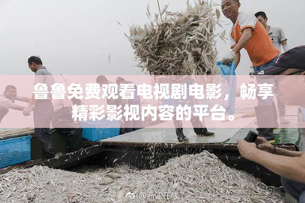 鲁鲁免费观看电视剧电影，畅享精彩影视内容的平台。