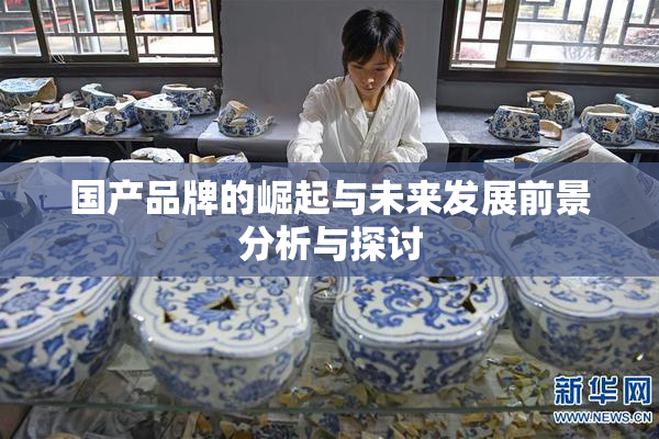 国产品牌的崛起与未来发展前景分析与探讨