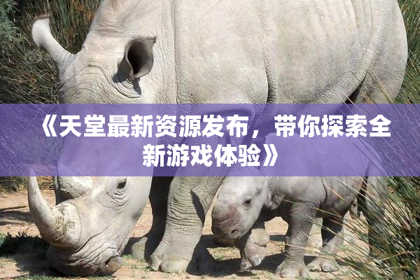《天堂最新资源发布，带你探索全新游戏体验》