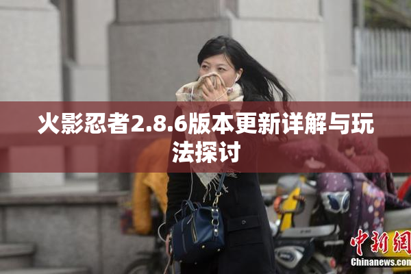 火影忍者2.8.6版本更新详解与玩法探讨