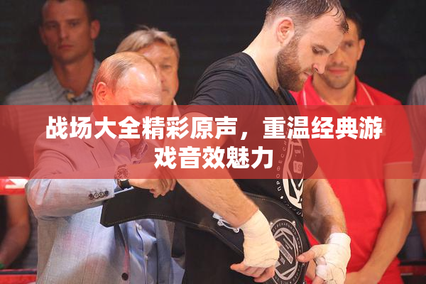 战场大全精彩原声，重温经典游戏音效魅力