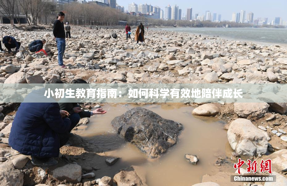 小初生教育指南：如何科学有效地陪伴成长