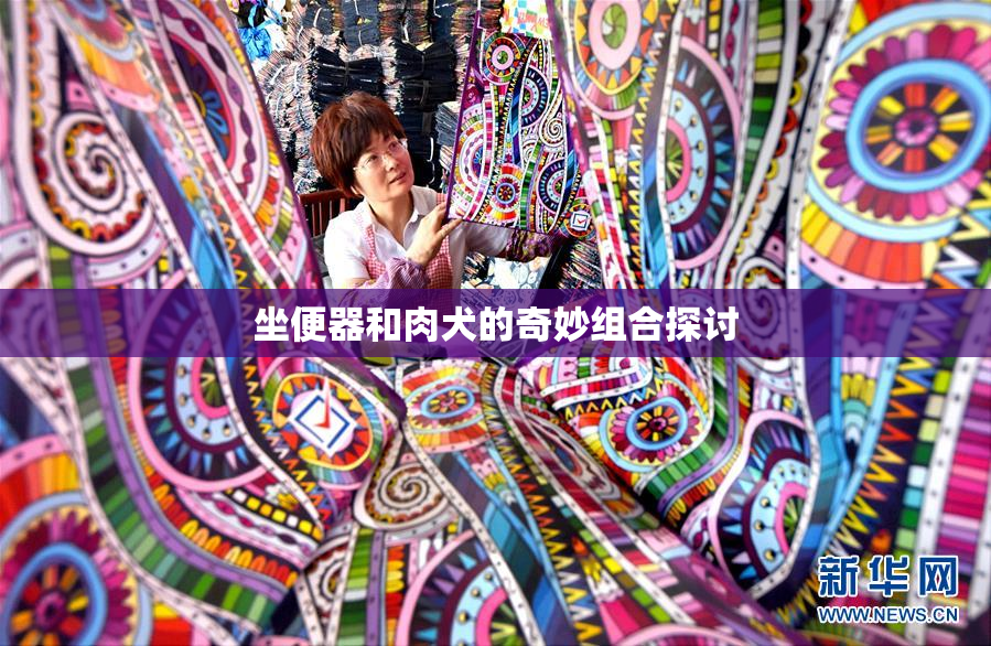 坐便器和肉犬的奇妙组合探讨