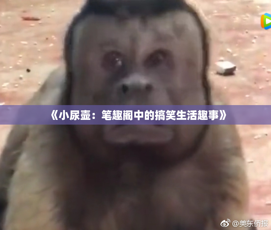 《小尿壶：笔趣阁中的搞笑生活趣事》