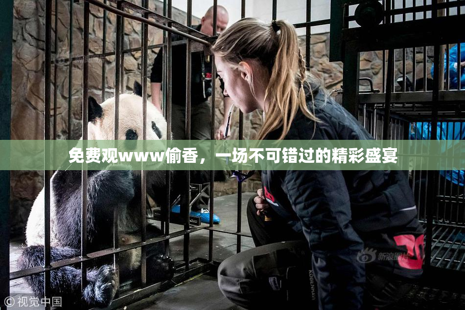 免费观www偷香，一场不可错过的精彩盛宴
