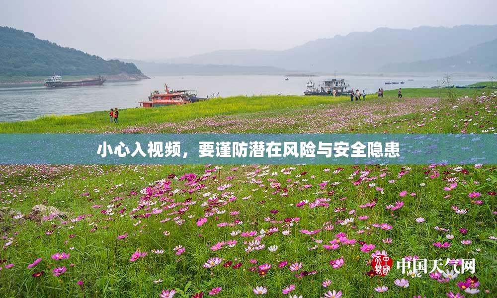 小心入视频，要谨防潜在风险与安全隐患