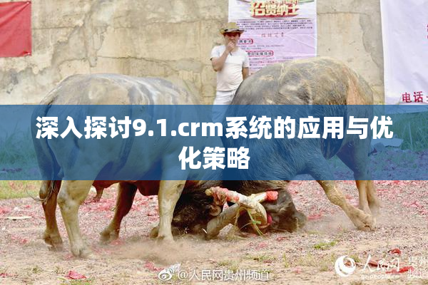 深入探讨9.1.crm系统的应用与优化策略