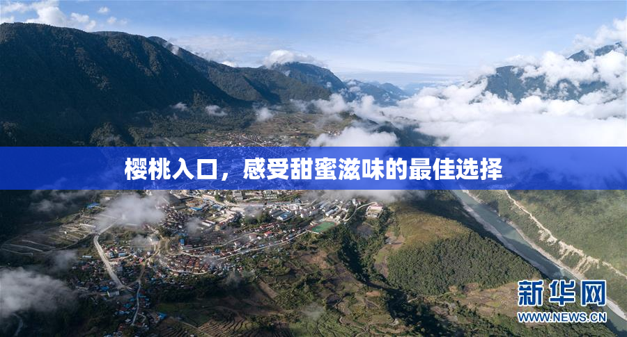 樱桃入口，感受甜蜜滋味的最佳选择