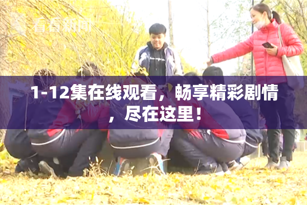 1-12集在线观看，畅享精彩剧情，尽在这里！
