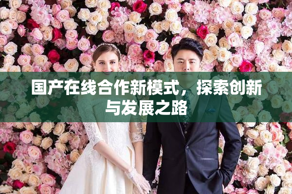 国产在线合作新模式，探索创新与发展之路