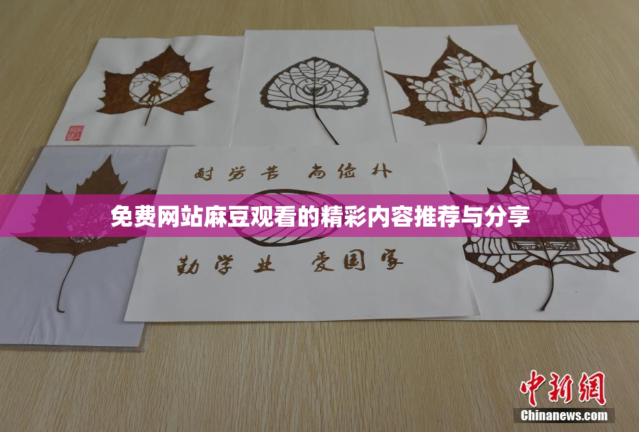 免费网站麻豆观看的精彩内容推荐与分享