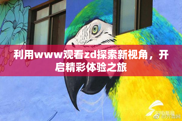 利用www观看zd探索新视角，开启精彩体验之旅