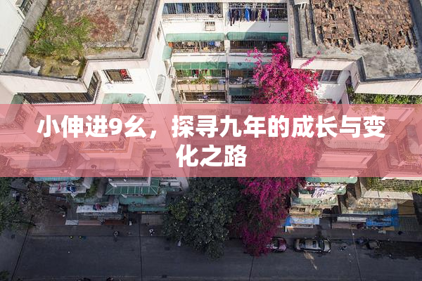 小伸进9幺，探寻九年的成长与变化之路