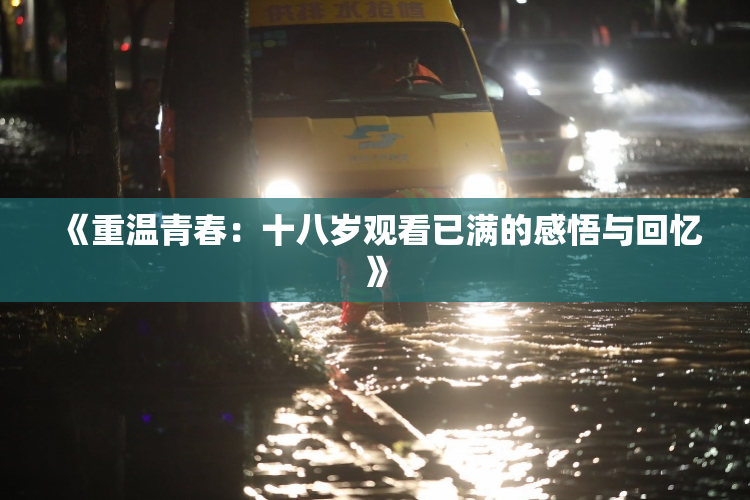《重温青春：十八岁观看已满的感悟与回忆》
