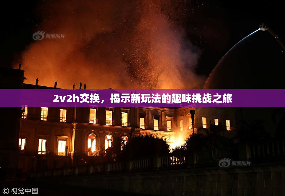 2v2h交换，揭示新玩法的趣味挑战之旅