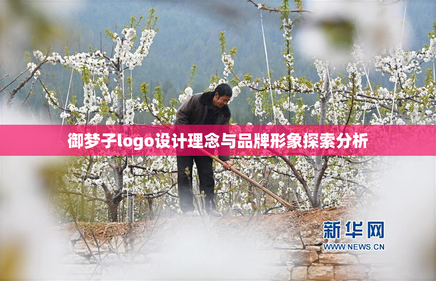 御梦子logo设计理念与品牌形象探索分析