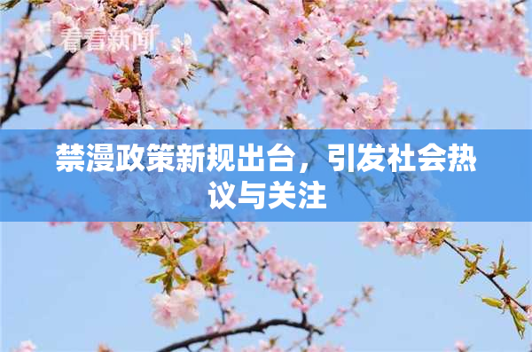 禁漫政策新规出台，引发社会热议与关注
