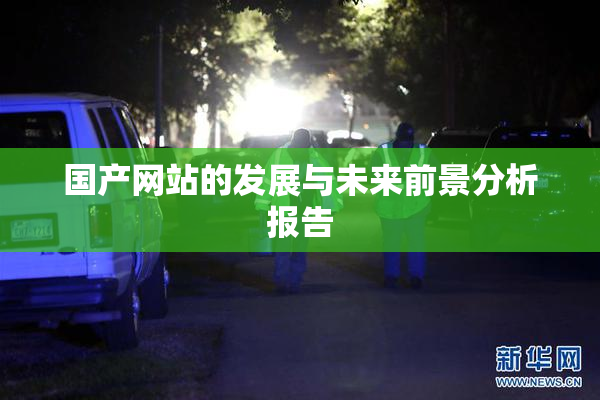 国产网站的发展与未来前景分析报告