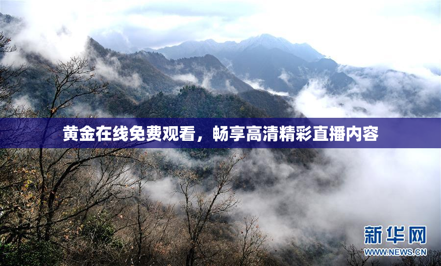 黄金在线免费观看，畅享高清精彩直播内容