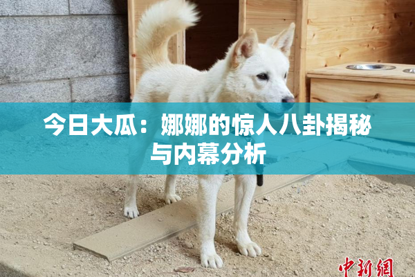 今日大瓜：娜娜的惊人八卦揭秘与内幕分析