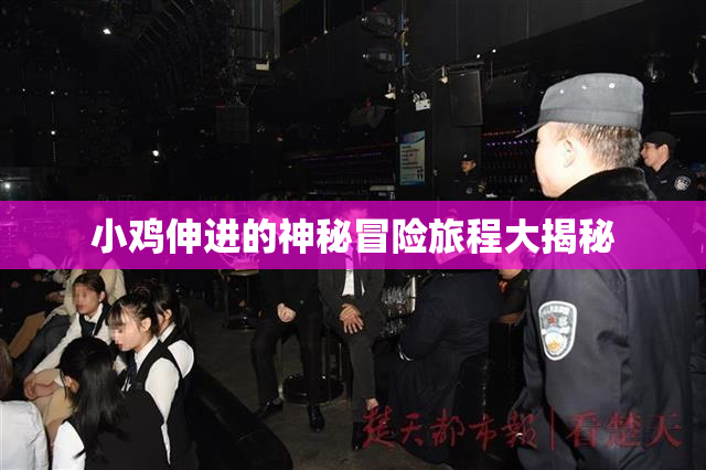 小鸡伸进的神秘冒险旅程大揭秘