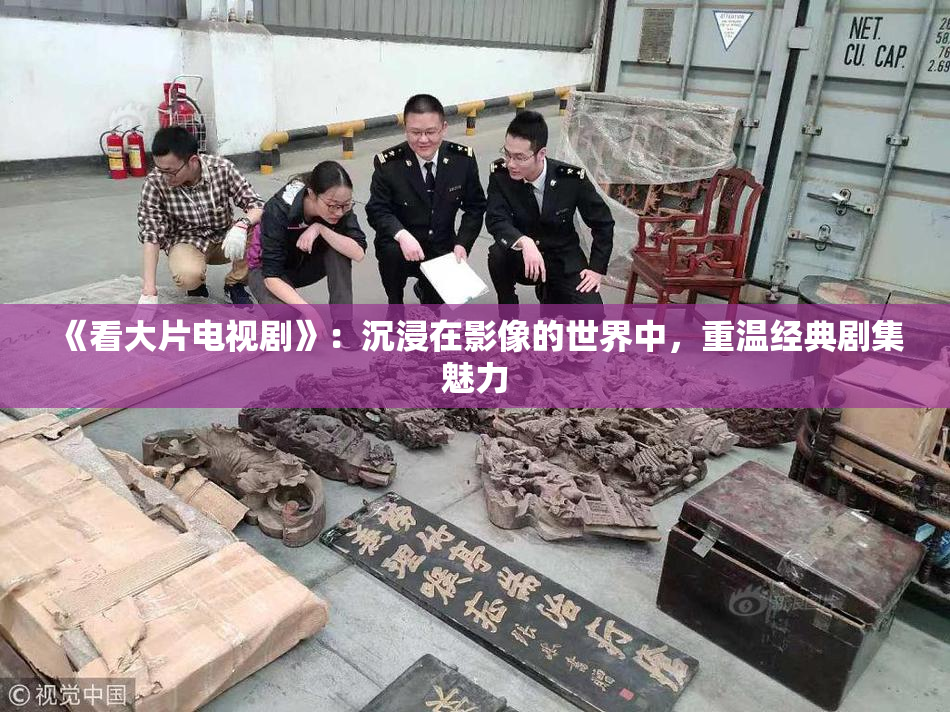 《看大片电视剧》：沉浸在影像的世界中，重温经典剧集魅力