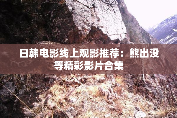 日韩电影线上观影推荐：熊出没等精彩影片合集