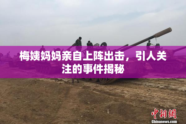 梅姨妈妈亲自上阵出击，引人关注的事件揭秘