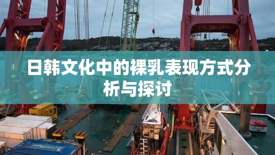 日韩文化中的裸乳表现方式分析与探讨