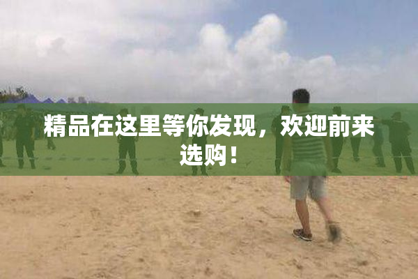精品在这里等你发现，欢迎前来选购！