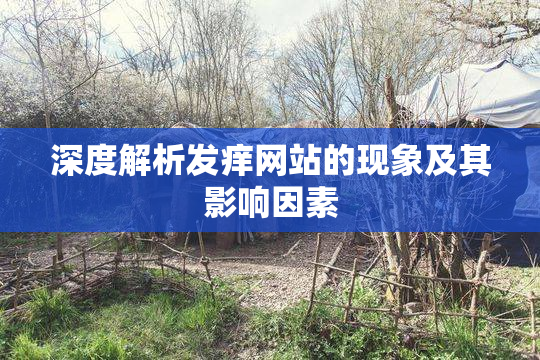 深度解析发痒网站的现象及其影响因素