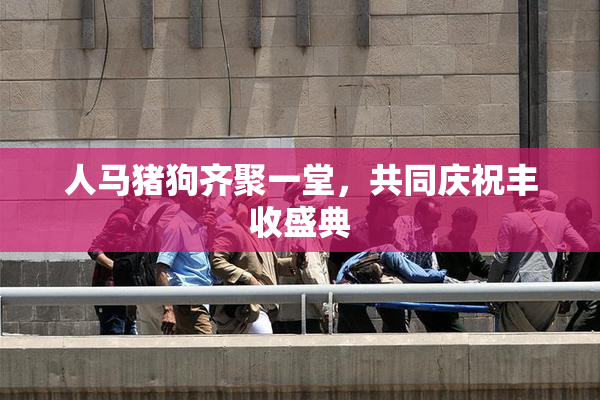 人马猪狗齐聚一堂，共同庆祝丰收盛典
