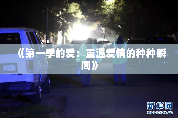 《第一季的爱：重温爱情的种种瞬间》
