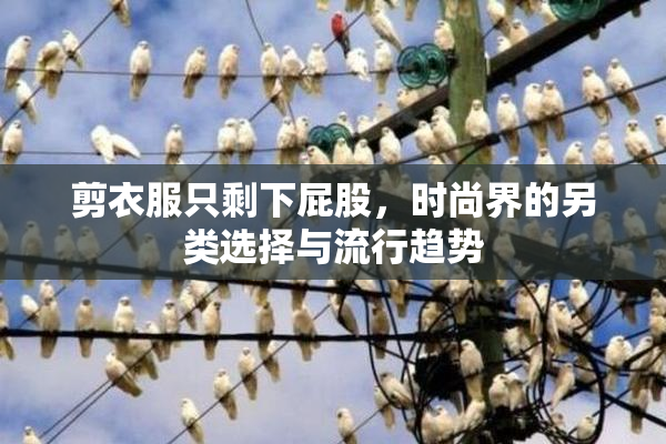 剪衣服只剩下屁股，时尚界的另类选择与流行趋势