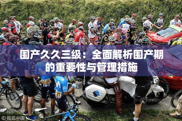 围产久久三级：全面解析围产期的重要性与管理措施