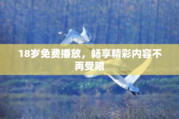 18岁免费播放，畅享精彩内容不再受限